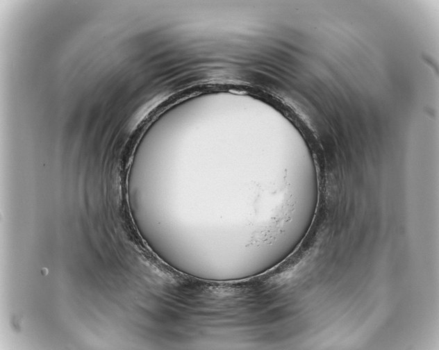 X0000093390829200710251238