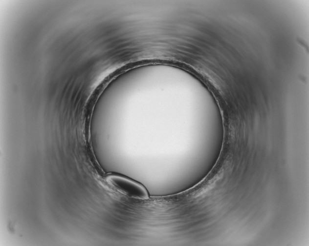 X0000093390830200710251239