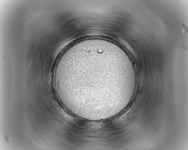 X0000093390831200710251239