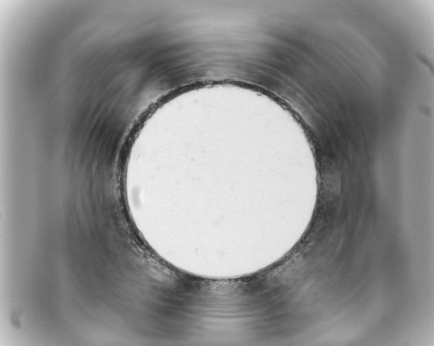 X0000093390832200710251239