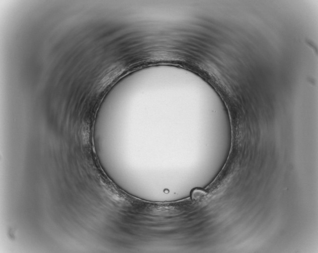 X0000093390833200710251239