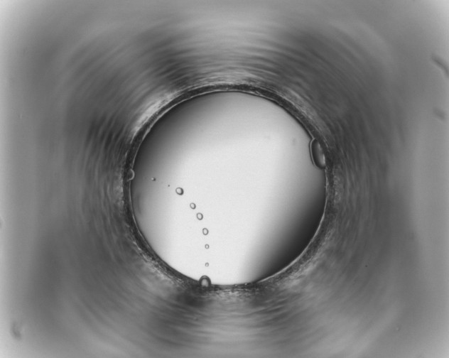 X0000093390834200710251239