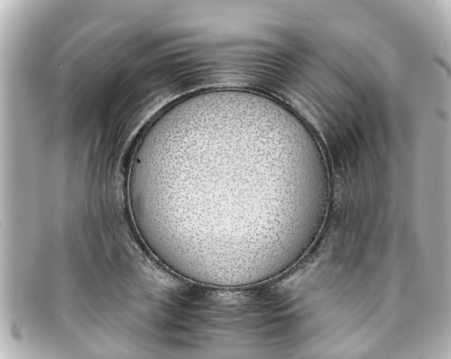 X0000093390835200710251239