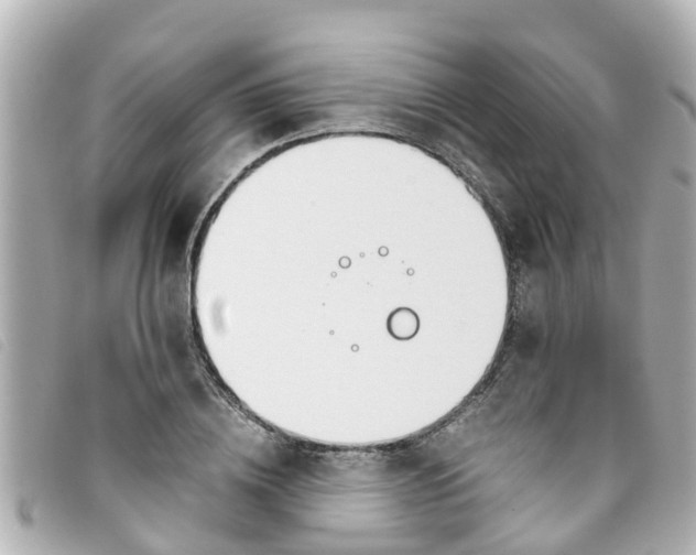 X0000093390836200710251239