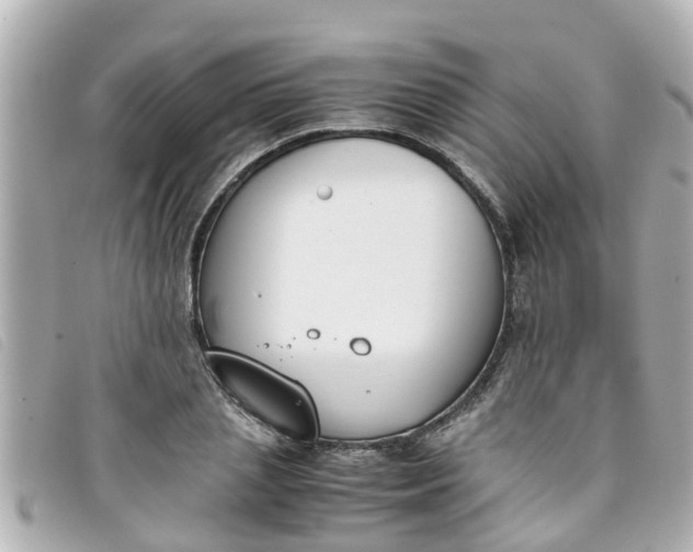 X0000093390837200710251239