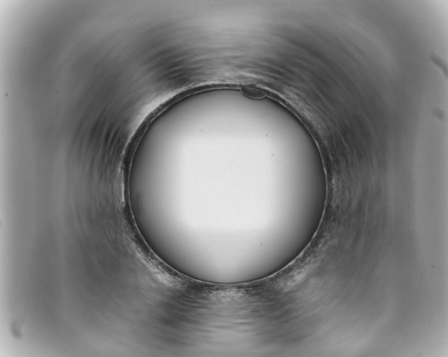 X0000093390838200710251239