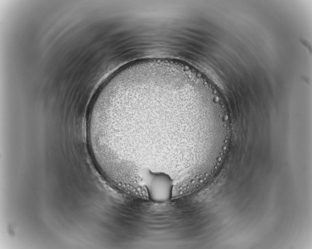 X0000093390839200710251239