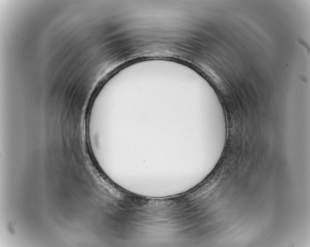 X0000093390840200710251239