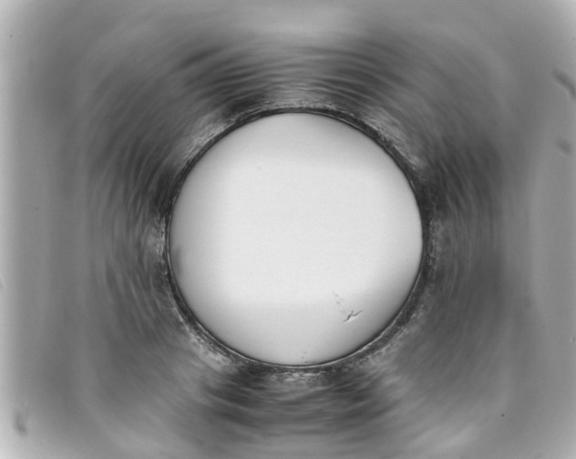 X0000093390841200710251239