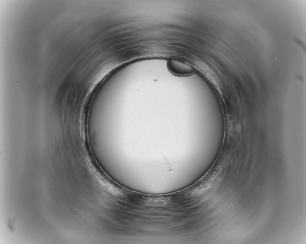 X0000093390843200710251239