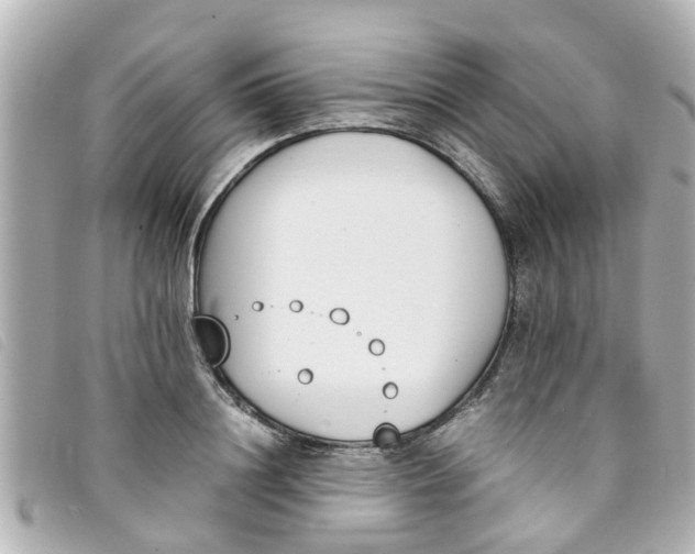 X0000093390844200710251239