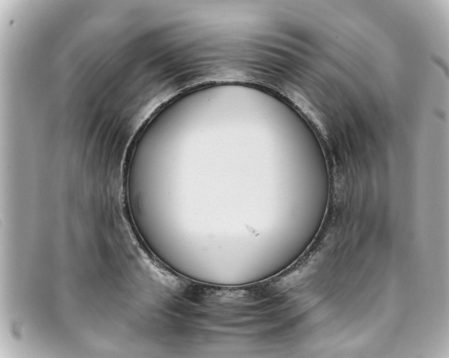 X0000093390845200710251239