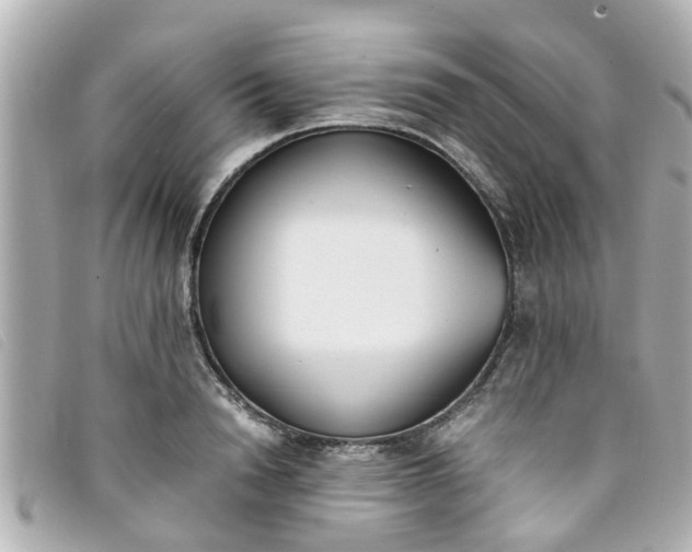 X0000093390846200710251239