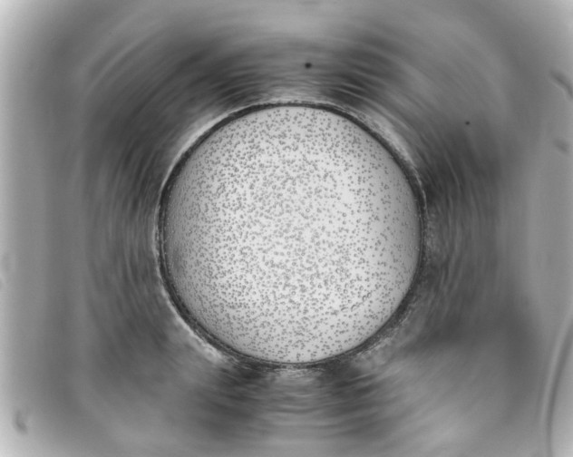 X0000093390847200710251239