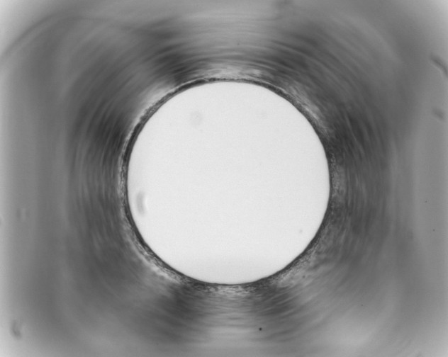 X0000093390848200710251239