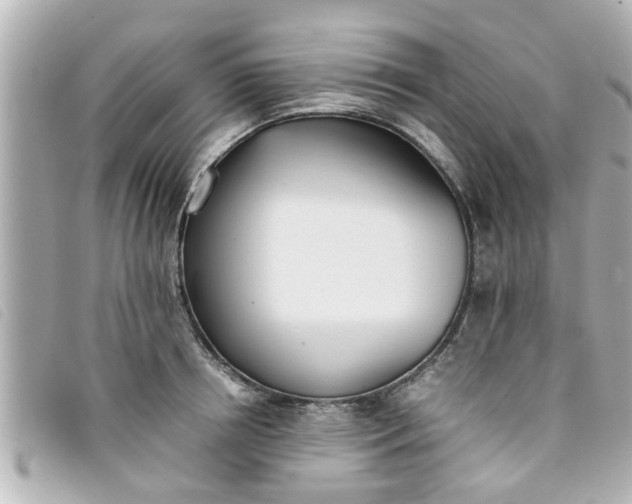 X0000093390850200710251239