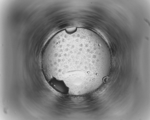 X0000093390851200710251239