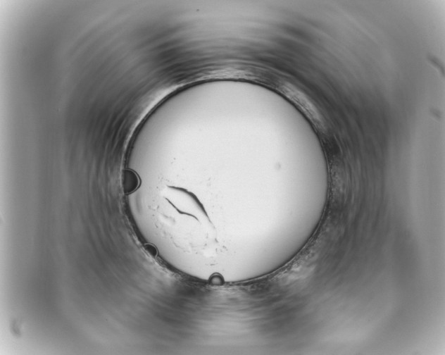 X0000093390852200710251239