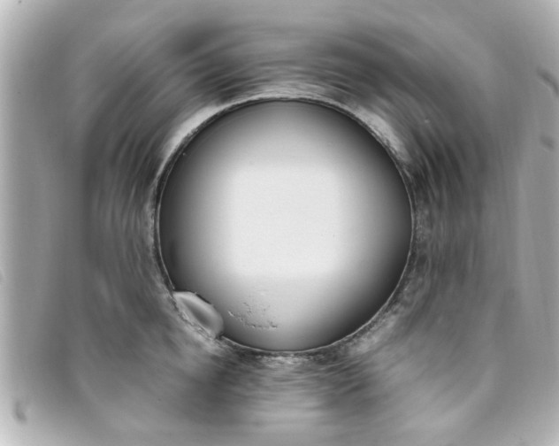 X0000093390854200710251239