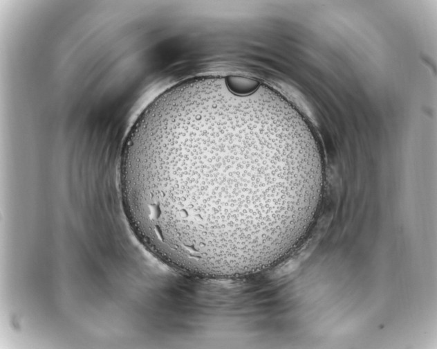 X0000093390855200710251239