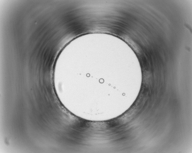 X0000093390856200710251239