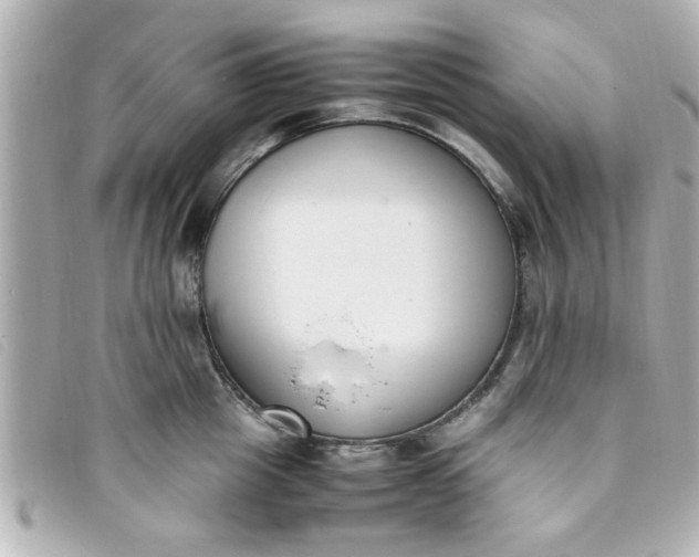 X0000093390857200710251239