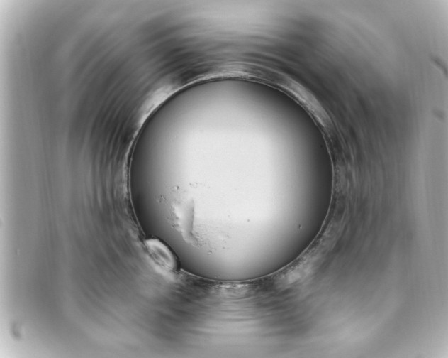 X0000093390858200710251239