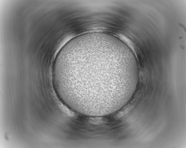 X0000093390859200710251239