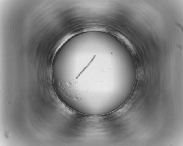 X0000093390860200710251239