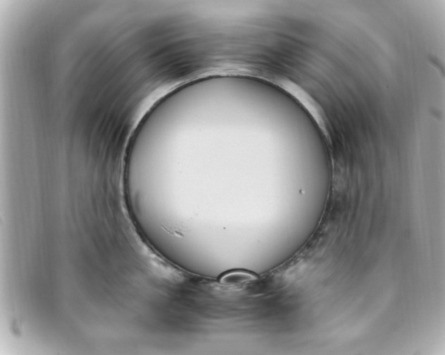 X0000093390861200710251239