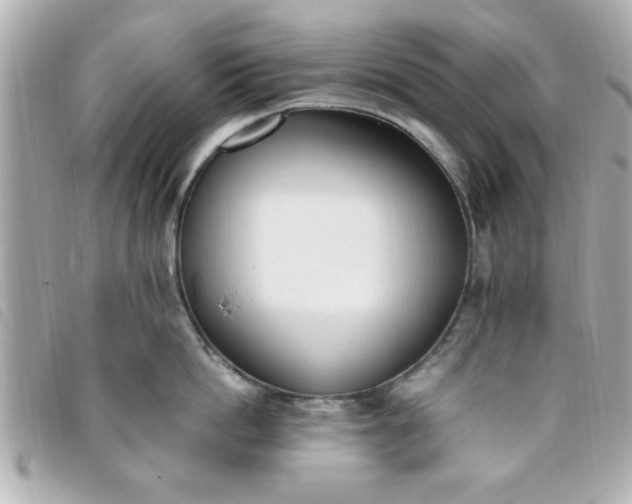 X0000093390862200710251239