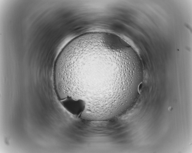 X0000093390863200710251239