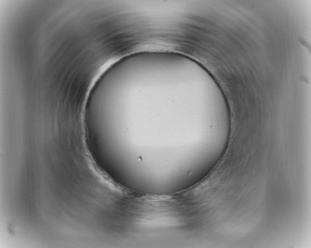 X0000093390864200710251239