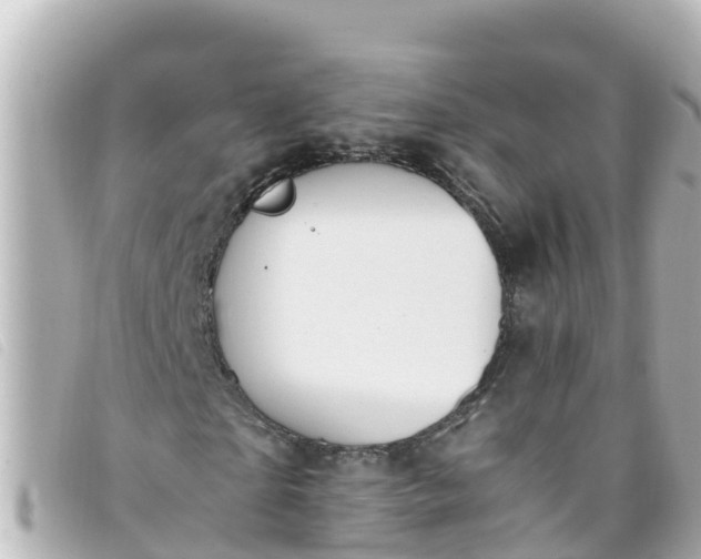 X0000093390865200710251238