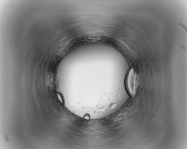 X0000093390867200710251238