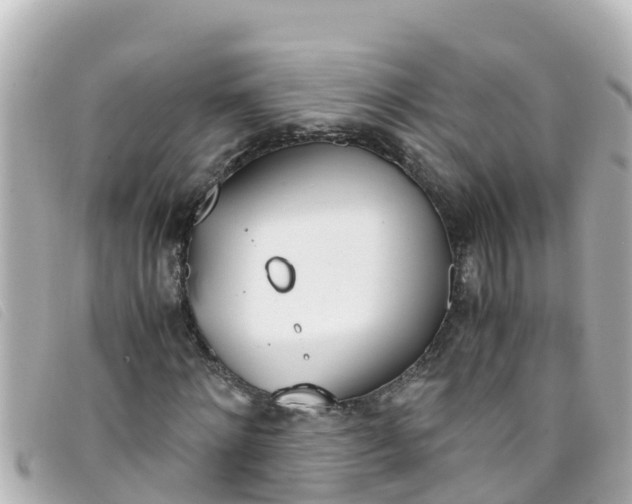 X0000093390868200710251238