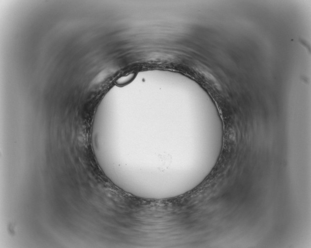 X0000093390869200710251238