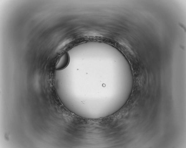 X0000093390870200710251238