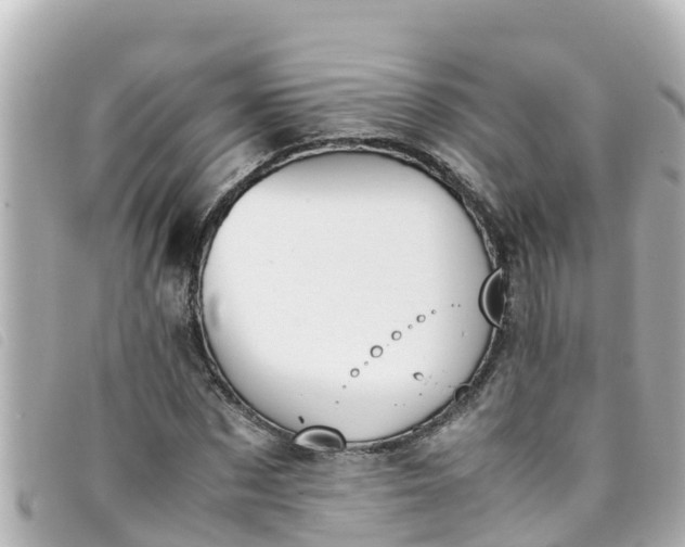 X0000093390873200710251238