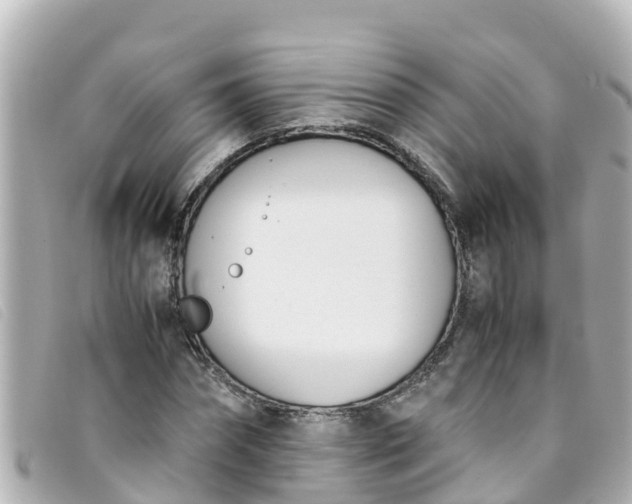 X0000093390874200710251238