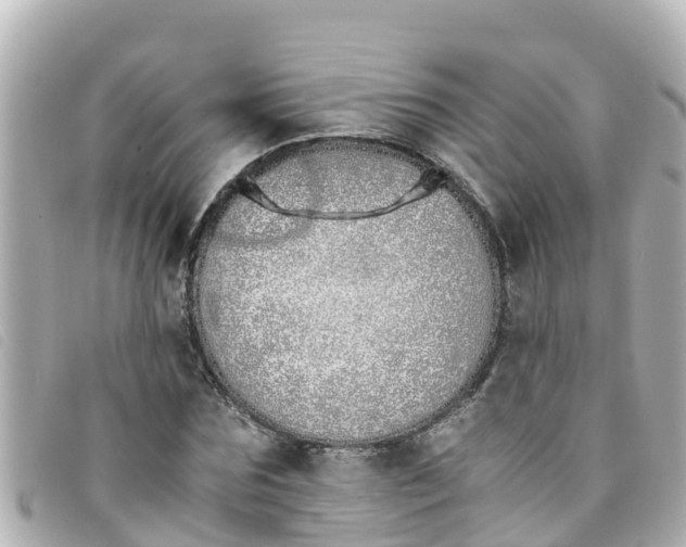 X0000093390875200710251238