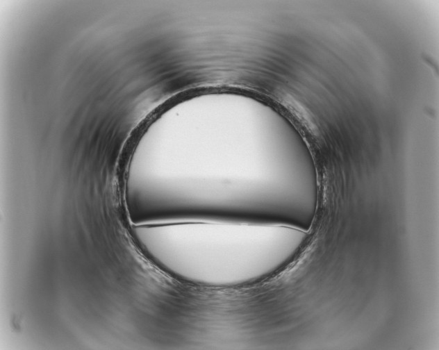 X0000093390876200710251238