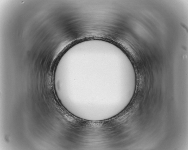 X0000093390878200710251238