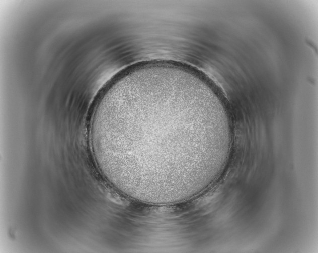 X0000093390879200710251238