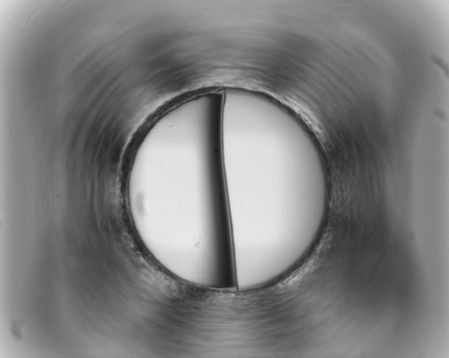 X0000093390880200710251238