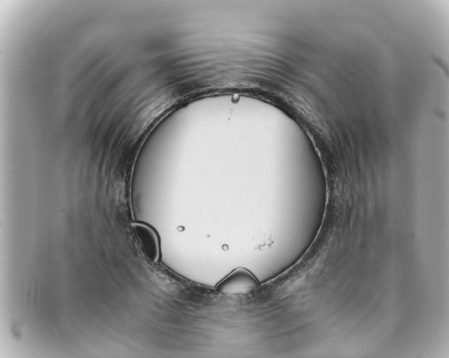 X0000093390881200710251238