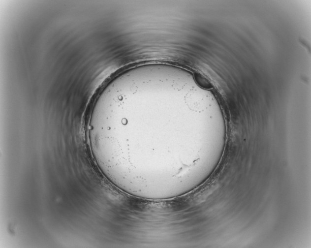 X0000093390883200710251238