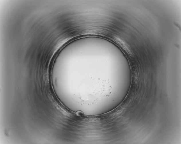 X0000093390884200710251238