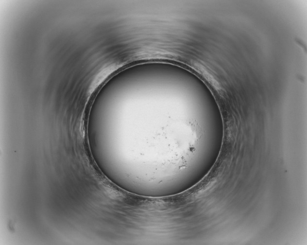 X0000093390885200710251238