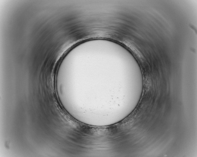 X0000093390886200710251238